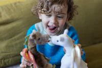 a young boy playing with stuffed animals on a couch